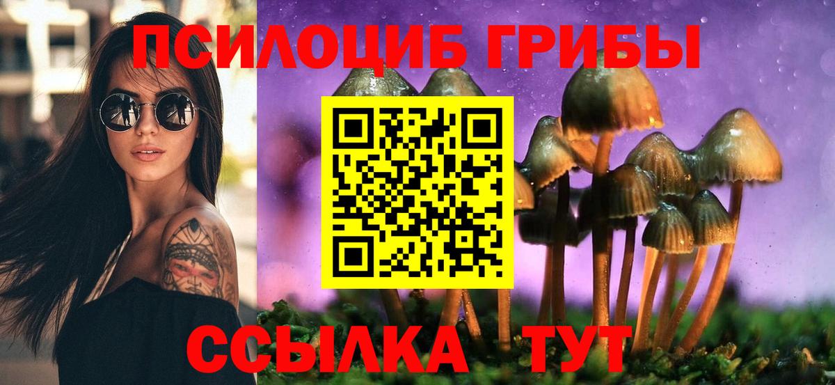 Псилоцибиновые грибы Cubensis Нефтеюганск