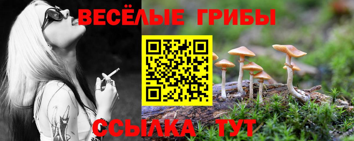 Нефтеюганск  Галлюциногенные грибы Cubensis  Вход с VPN 